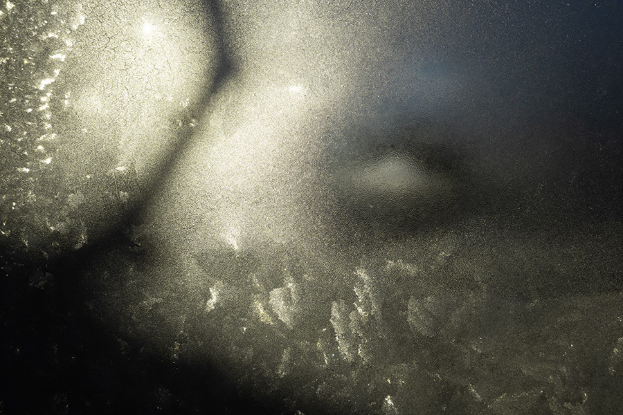 Abstract But Completely Straight Color Photograph.